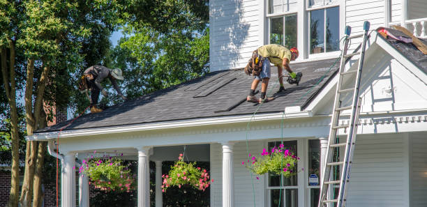 Roof Gutter Cleaning in Larose, LA